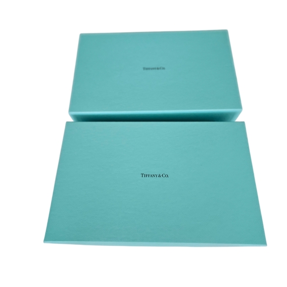 Tiffany & Co. Tiffany  Blue Luxury Shopping Bags & Two  Empty Boxes - Picture 2 of 8